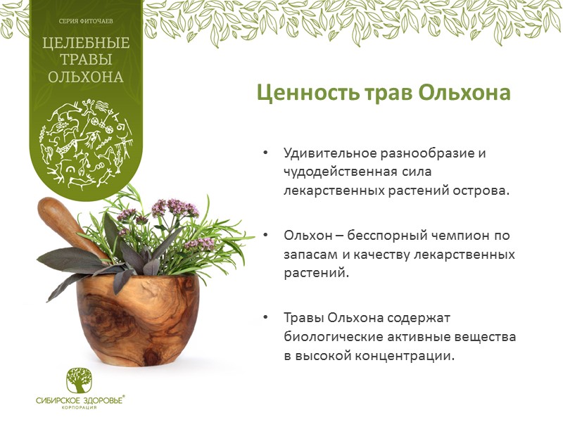 Ценность трав Ольхона Удивительное разнообразие и чудодейственная сила лекарственных растений острова.  Ольхон –